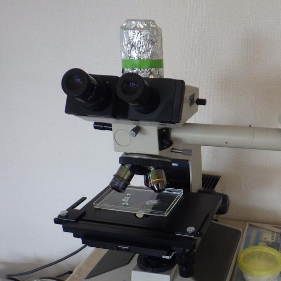 旧野崎邸内 野崎家塩業歴史館（岡山県倉敷市児島）にて、私が以前使用していた顕微鏡が活躍していることが分かりました。